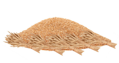 Similar image 1568071