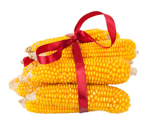 Similar image 1568072