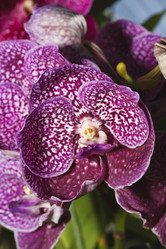 Similar image 1568076