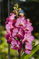 Similar image 1568077