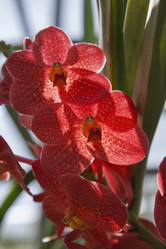 Similar image 1568078