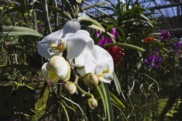 Similar image 1568082