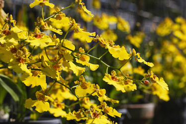 Similar image 1568085