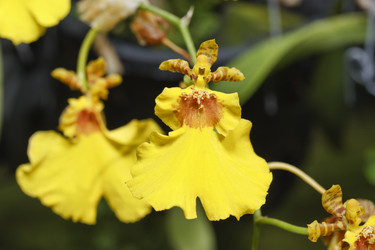 Similar image 1568086