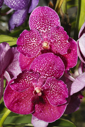 Similar image 1568087