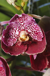 Similar image 1568089