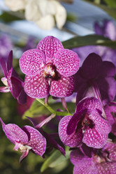 Similar image 1568091