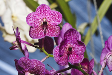 Similar image 1568092