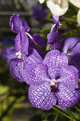 Similar image 1568093