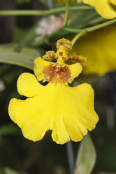 Similar image 1568094