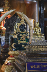 Similar image 1568108