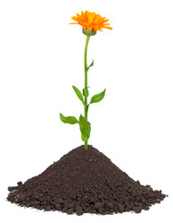 Similar image 1568120