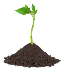 Similar image 1568129