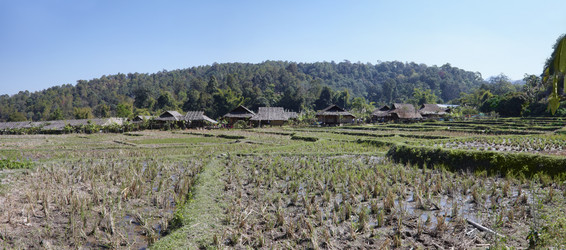 Similar image 1568153