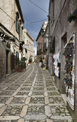 Similar image 1568247