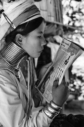 Similar image 1568282