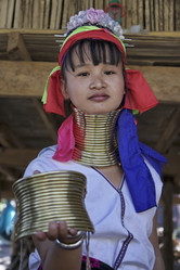 Similar image 1568300