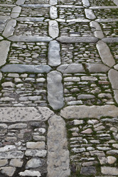 Similar image 1568305