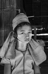 Similar image 1568320