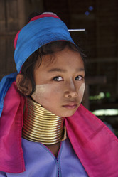 Similar image 1568321