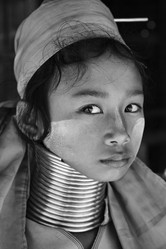 Similar image 1568324