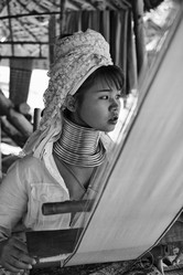 Similar image 1568333