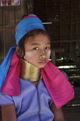 Similar image 1568340