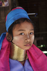 Similar image 1568344