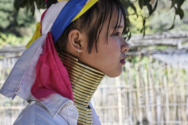 Similar image 1568364