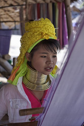 Similar image 1568388