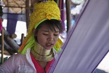 Similar image 1568392