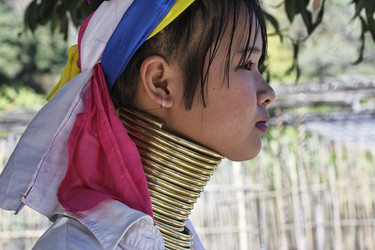 Similar image 1568407