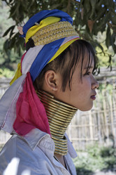 Similar image 1568409