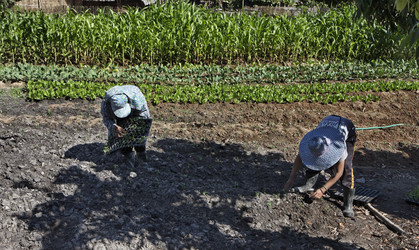 Similar image 1568417