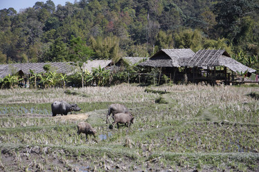 Similar image 1568418