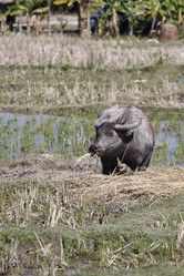 Similar image 1568432