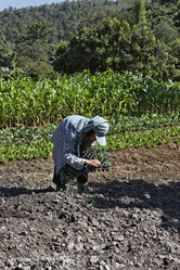 Similar image 1568439