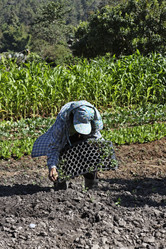 Similar image 1568441