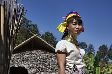 Similar image 1568445