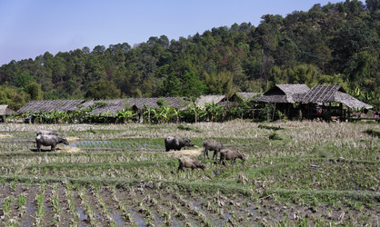 Similar image 1568453