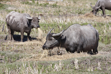 Similar image 1568456