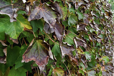 Similar image 1568466