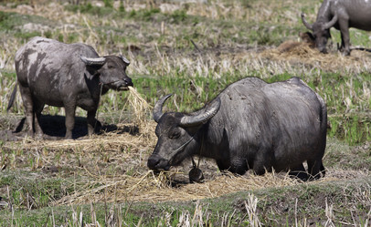 Similar image 1568467