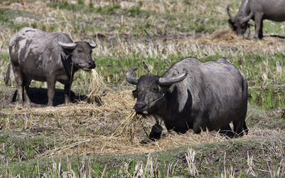 Similar image 1568468