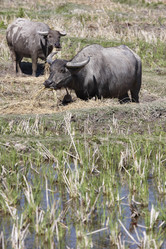 Similar image 1568471