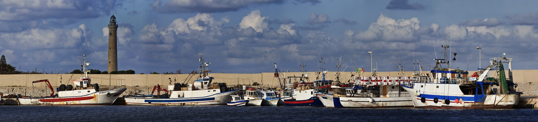 Similar image 1568476