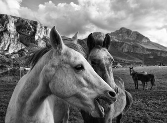 Similar image 1568478