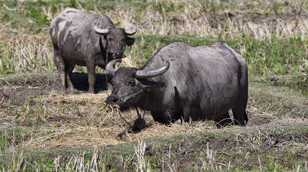 Similar image 1568479