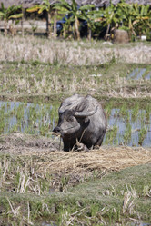 Similar image 1568488