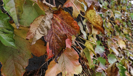 Similar image 1568490